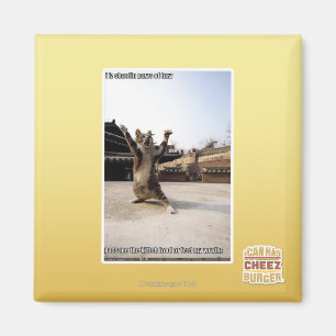 Aimant J'ai des pattes de shaolin de fureur