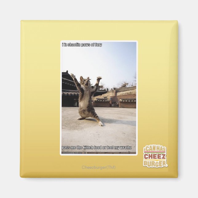 Aimant J'ai des pattes de shaolin de fureur (Devant)