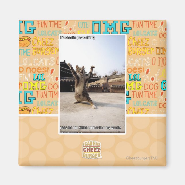 Aimant J'ai des pattes de shaolin de fureur (Devant)