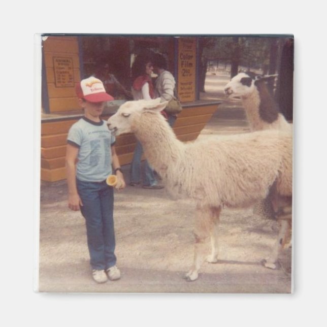 Aimant J'ai détruit 'Um Biting Llama (Devant)