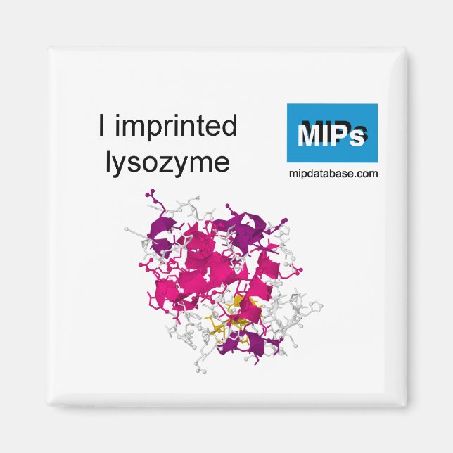 Aimant J'ai imprimé l'aimant lysozyme (Devant)