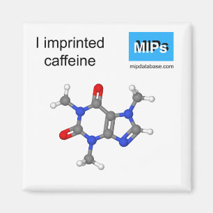 Aimant J'ai imprimé une boule et un bâton d'aimant à l