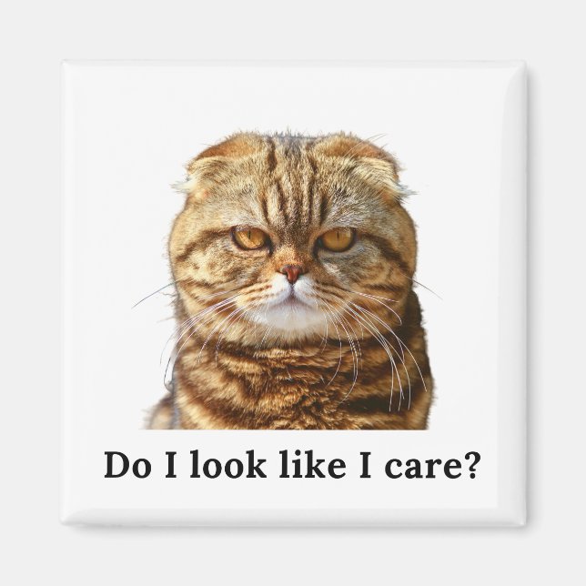 Aimant "J'ai l'air d'être concerné" (Devant)