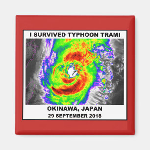 Aimant J'ai survécu à l'ouragan Trami