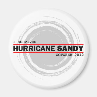 Aimant J'ai survécu au cyclone Sandy