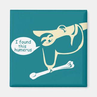 Aimant J'ai trouvé ce Humerus Funny Sloth