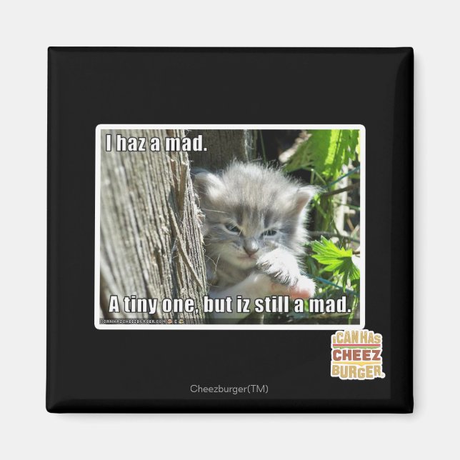 Aimant J'ai un fou (Devant)