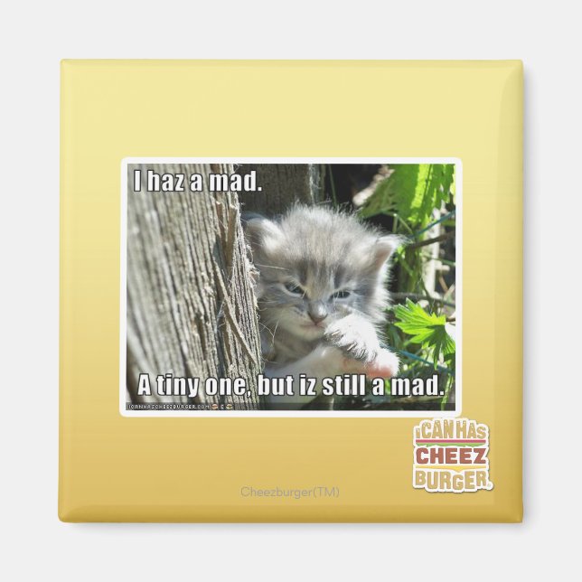 Aimant J'ai un fou (Devant)