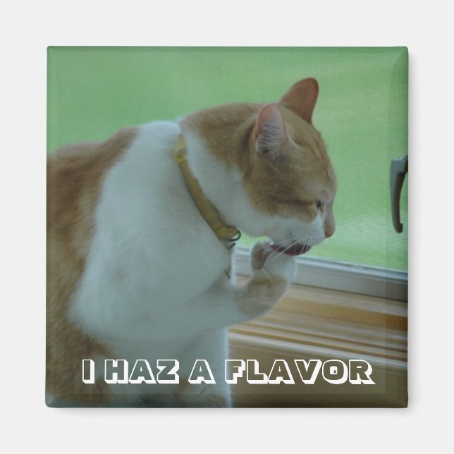 AIMANT J'AI UNE SAVEUR (Devant)