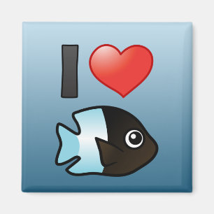 Aimant J'Aime Bicolor Damselfish