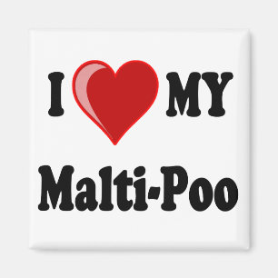 Aimant J'aime (coeur) mon chien de Malti-Poo