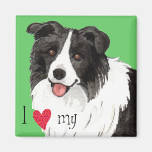 Aimant J'aime ma frontière Collie