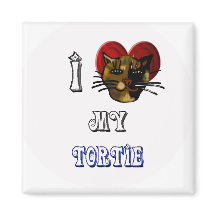 j'aime ma tortie
