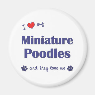 Aimant J'aime mes caniches miniatures (les chiens