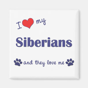 Aimant J'aime mes Sibériens (les chats multiples)