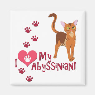 Aimant J'Aime Mon Abyssinais !