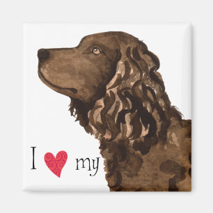 Aimant J'aime mon American Water Spaniel