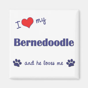 Aimant J'aime mon Bernedoodle (le chien masculin)