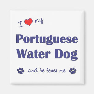 Aimant J'aime mon chien d'eau portugais (le chien