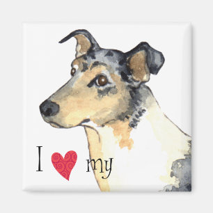 Aimant J'aime mon collie lisse