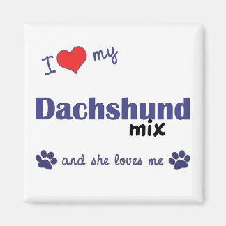 Aimant J'Aime Mon Dachshund Mix (Chien Femme)