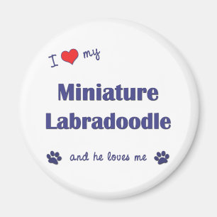 Aimant J'aime mon Labradoodle miniature (le chien