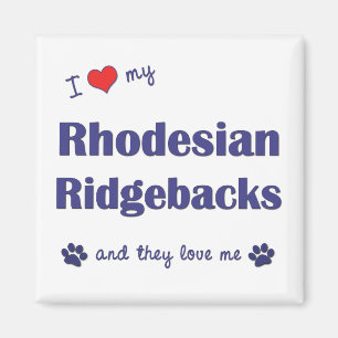 Aimant J'aime mon Rhodesian Ridgebacks (les chiens