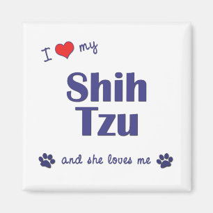 Aimant J'aime mon Shih Tzu (les chiens femelles)