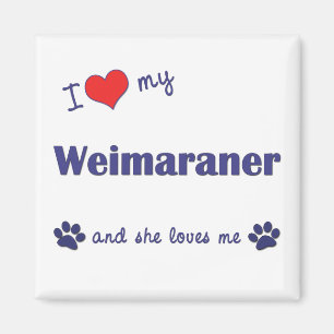 Aimant J'aime mon Weimaraner (le chien femelle)