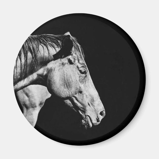 Aimant jambe de cheval de tête (Devant)