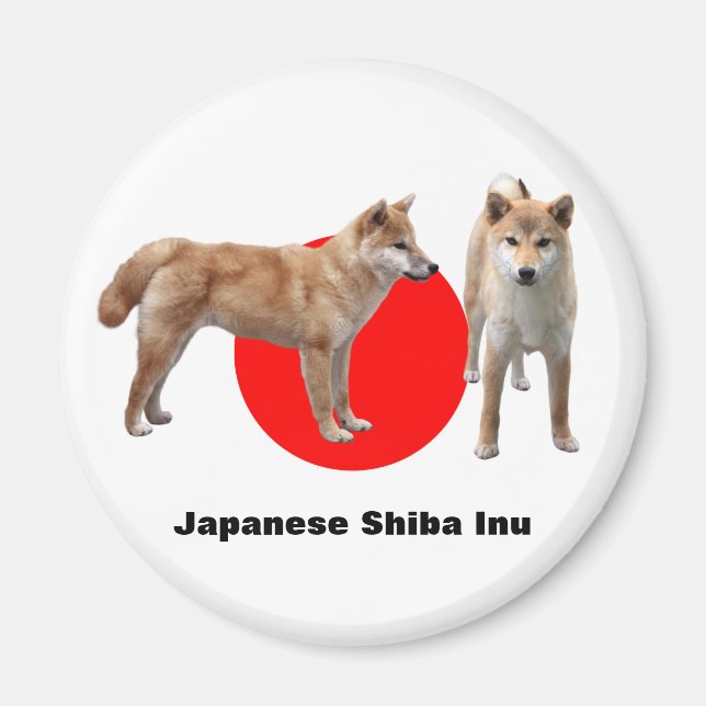 Aimant Japanese Shiba Inu (Devant)