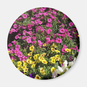 Aimant Jardin aux fleurs