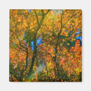 Aimant Jardin botanique VanDusen Vancouver, Canada