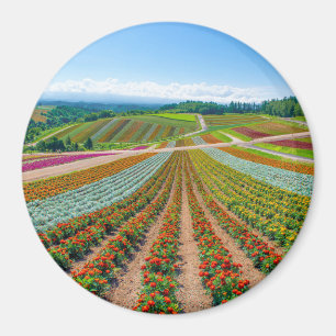 Aimant Jardin d'agrément Shikisai aucune ferme de fleu