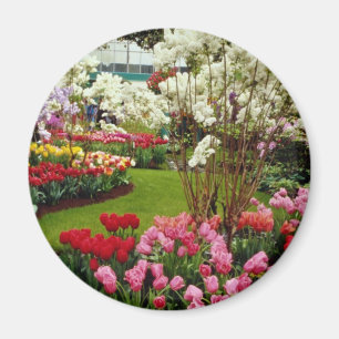 Aimant Jardins de Keukenhof dans Lisse, au sud d'Amster