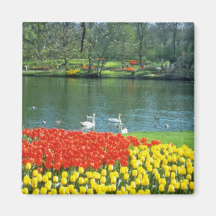 Aimant Jardins rouges de Keukenhof, fleurs de la Hollande
