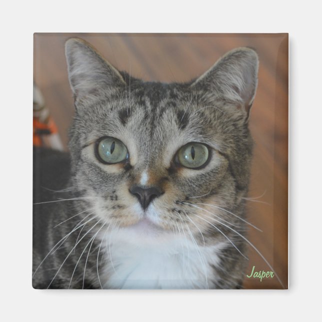 Aimant Jasper (Devant)