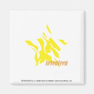 Aimant Jaune 3 de zèbre