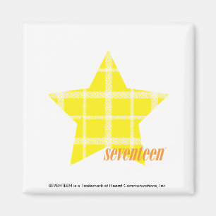 Aimant Jaune 4 de plaid