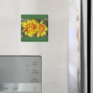 Aimant Jaune avec Fleur rayée rouge