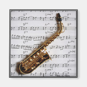 Aimant Jazz Saxophone Margnet