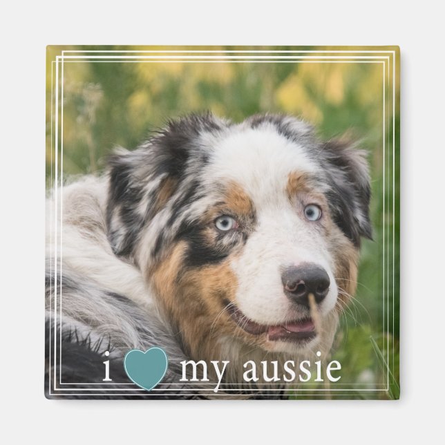 Aimant J'Coeur Ma Frontière Blanche De Berger Australien  (Devant)