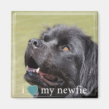 J'Coeur Ma Newfie Terre-Neuve Frontière Blanche