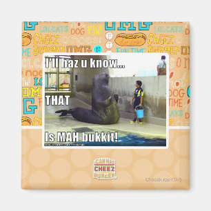 Aimant Je le haz u saurai