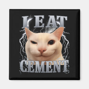 Aimant Je mange du ciment Mème de chat idiot Drôle Hommes