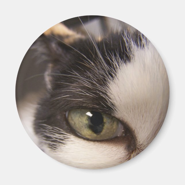 Aimant Je regarde (Devant)