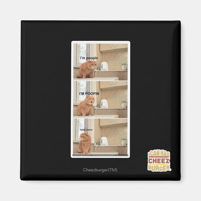 Aimant Je suis de la foutaise ! (Devant)