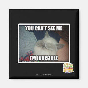 Aimant Je suis invisible