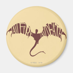 Aimant Je suis le feu que je suis la mort - graphique