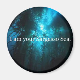 Aimant Je suis votre mer de Sargasso